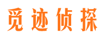 长清市场调查